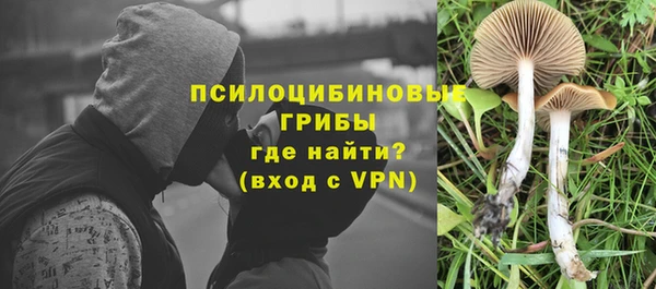 шишки Медногорск