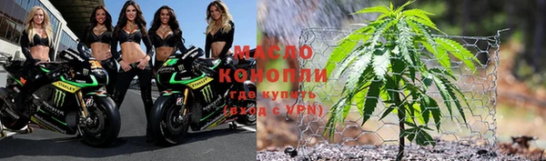 шишки Медногорск