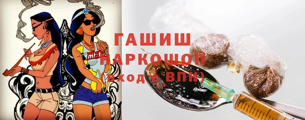 шишки Медногорск