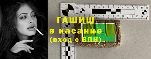 гидра Ачинск