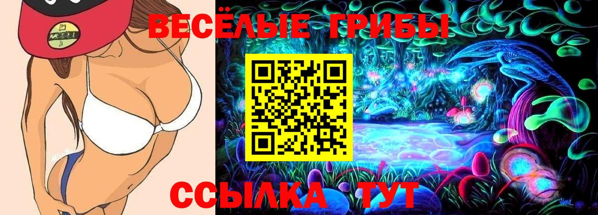 наркотики  Вход с VPN  Киржач  Псилоцибиновые грибы Magic Shrooms 